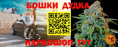 трава Кингисепп